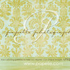 papelle > Papelle Wall Designs photo